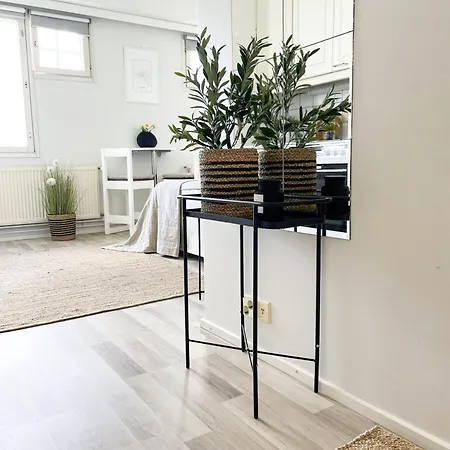 Borg Etelaepuisto
